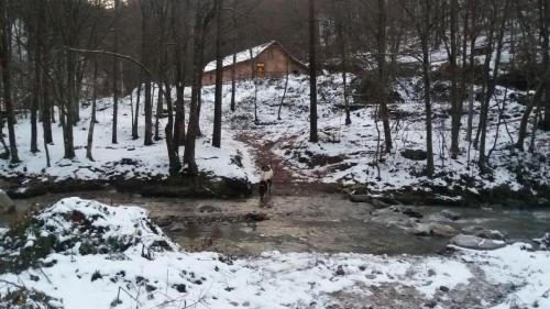 film set serbia - 20171208 161130