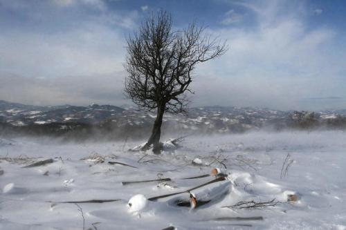film set serbia - kursumlija okolina 9
